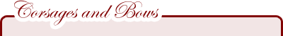 Corsages and Bows