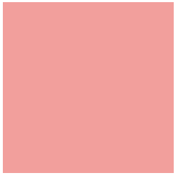 marsala blusher