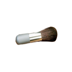 Kabuki Brush